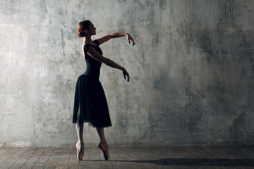 Ballet in beautiful style. Modern ballet. Ballet dancer.