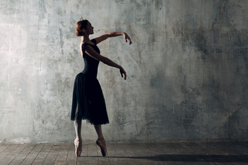Ballet in beautiful style. Modern ballet. Ballet dancer. © primipil