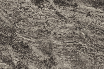 Gold limestone texture