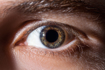 Human eye close-up, macro. Beautiful iris and the pupil of the eye, healthy vision and identity