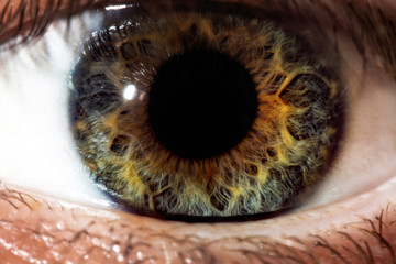 Human eye close-up, macro. Beautiful iris and the pupil of the eye, healthy vision and identity
