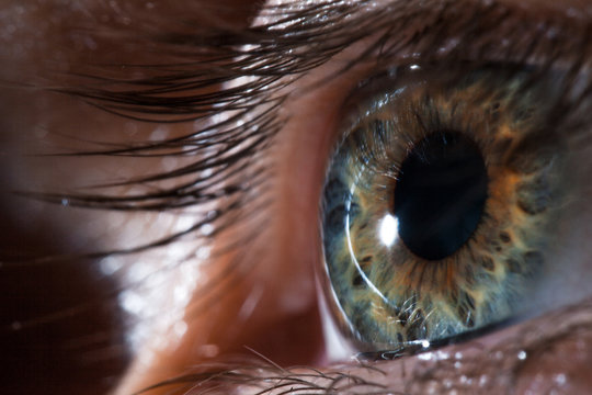 Human eye close-up, macro. Beautiful iris and the pupil of the eye, healthy vision and identity