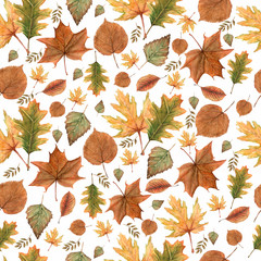 Seamless pattern of Autumn fall leaves,natural branches, colorful herbs, hand drawn in watercolor. Beauty elegant background, texture, print, textile fabric, wallpaper on white