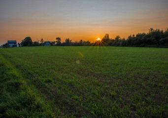 Sunset over the fields