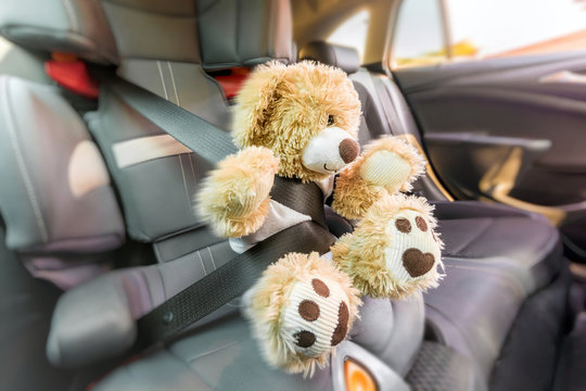 Teddy im Kindersitz bei einer Vollbremsung