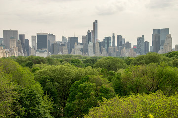 Fototapeta premium Budynki