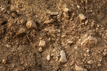Abstract background of rocky soil