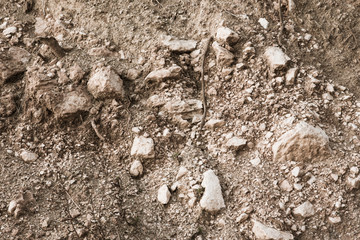 Light brown abstract background of rocky soil