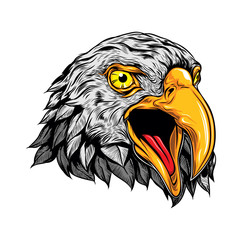 Head of Eagle Expressive Face, Vector Illustration, Isolated Vector, Animal Logo Mascot