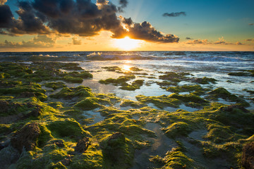 Sea landscape with sand, sky and clouds background. D