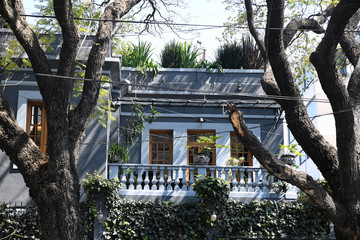 Blue stucco house with roof garden