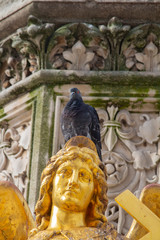 Isolated pigeon on gold statue, Zagreb, Croatia
