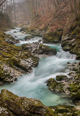 Beautiful Radovna River in The Vintgar Gorge or Bled Gorge, Slovenia in winter. Vertical photo.