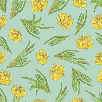 Vector shand drawn seamless pattern with a plant acorus calamus-04