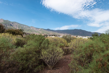 landscape tenerife canarias
