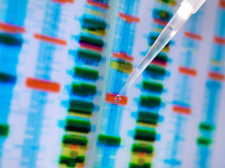DNA sample in a pipette with the results on a computer screen in a laboratory