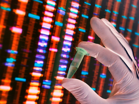 Scientist holding a DNA sample with the results on a computer screen in a laboratory - Powered by Adobe