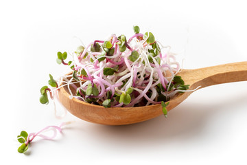 Pink radish sprouts on a spoon on white background