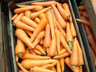 Harvest, carrots, harvest box, orange carrot
