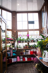 summer cafe in the city flower shop