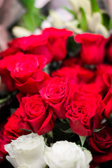 red roses in the store