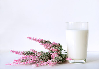 glass of milk, pink lavender flowers on white background