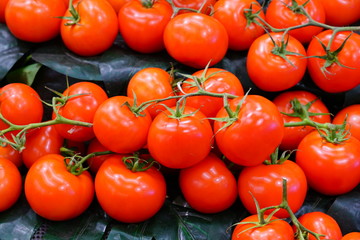 Crate of of colorful tomatoes at the farmers market