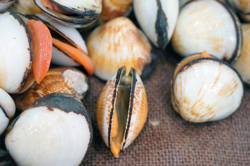 Fresh flame cockle shell for sale at a fish market in Sydney, Australia