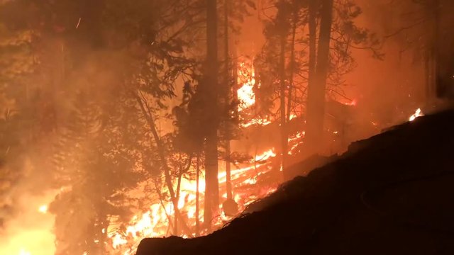 Wide Angle: Wind Blowing Fire in Forest