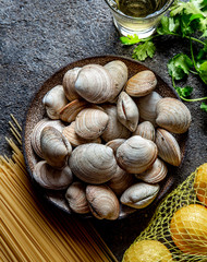 Ingredients for preparation spaghetti with clams - raw fresh clams, spaghetti coriander, white wine lemon
