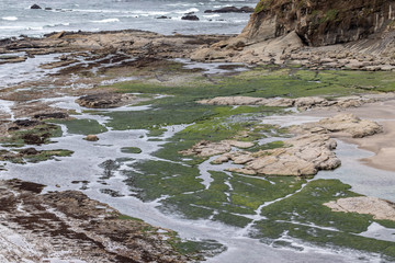 Oregon Coast waves crashing on rocks and tide pools