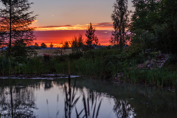 sunset in the garden at the pond in summer; red-colored sky on the horizon; along the edge of the pond there are various ornamental plants, trees and stone-shaped steps