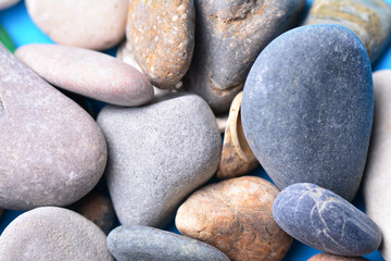 Sea stones and shells close-up