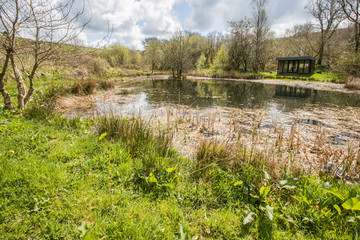 Beautiful wildlife pond with trees and grass around