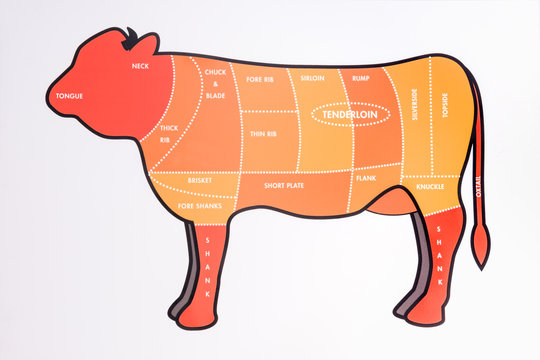 Cut  pork chicken beef cow, diagram for butcher. Poster for butcher shop. Guide for cutting.