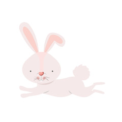 cute rabbit isolated icon