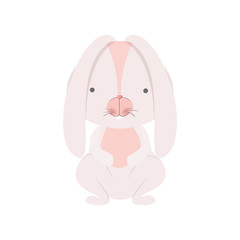 cute rabbit isolated icon