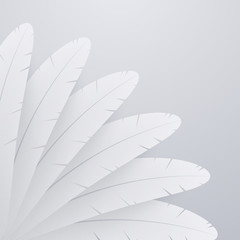 White realistic feather background. Abstract composition.