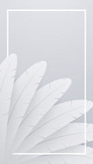 White realistic feather background. Abstract composition with frame.