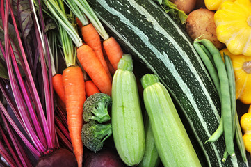 Crate of fresh harvested vegetables: carrot, beetroot, broccoli, zucchini, bean, potato	