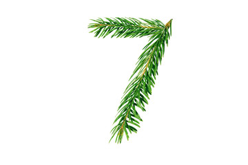 Numbe 7, collected from Christmas tree branches, green fir