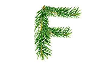 Letter F, English alphabet, collected from Christmas tree branches, green fir. Isolated on white background. Concept: ABC, design, logo, title, text, word