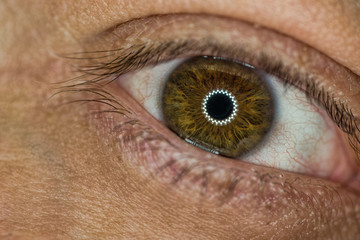 Macro retina eyes