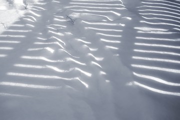 Reflection of boards of a fence on snow.