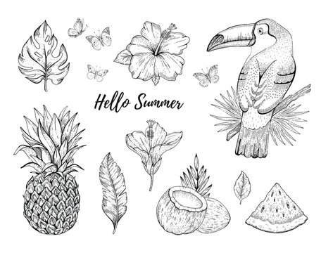 Hello Summer tropic set. fruit, flower, food, animal, leaf stickers. Coco, watermelon, toucan bird, ananas, hibiscus. Hand drawn vintage art. Cool doodle vector illustration, icon on white background