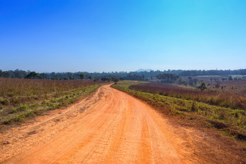 Fototapeta na wymiar Dirt road with the meadow in countryside