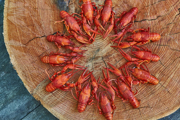 Crawfish cooked and served on wooden background