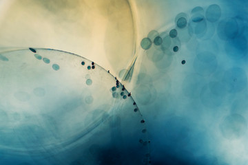 Abstract underwater composition with bubbles and light