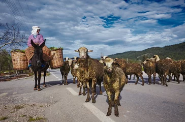 Fototapeten Esel Izmir/Turkey - April 25 2018: Very old woman in willage working as shepherd with her sheeps riding donkey  © Ekaterina