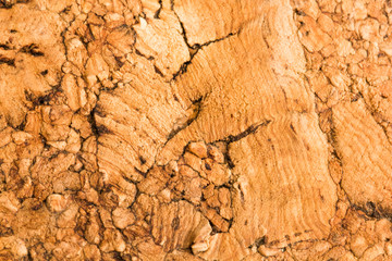 Cork texture - texture and background